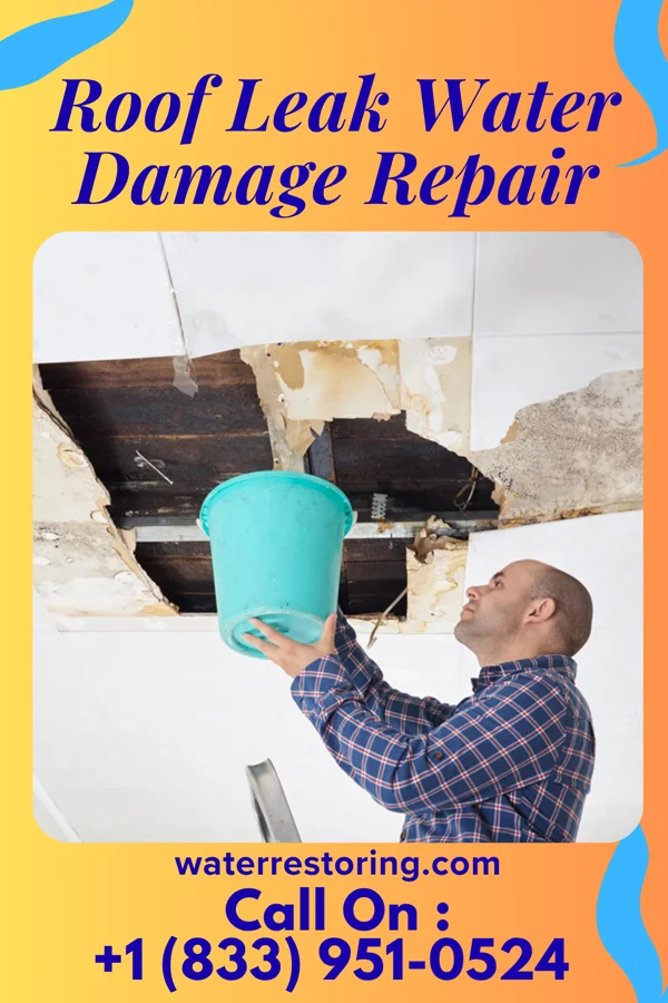 Roof Leak Water Damage Repair in Kleindale, AZ
